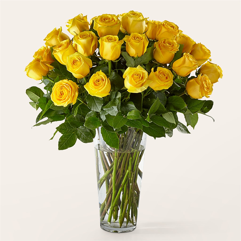Long Stem Yellow Rose Bouquet – SINK'S FLOWER SHOP & GREENHOUSE, Findlay OH