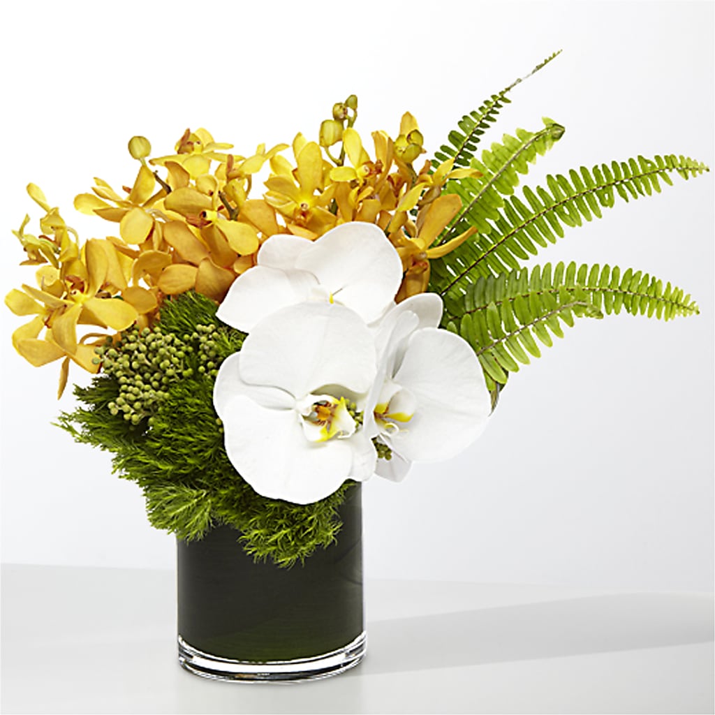 The Tropics – SINK'S FLOWER SHOP & GREENHOUSE, Findlay OH