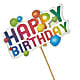 Happy Birthday Pick – SINK'S FLOWER SHOP & GREENHOUSE, Findlay OH