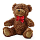 Adorable Plush Bear – SINK'S FLOWER SHOP & GREENHOUSE, Findlay OH