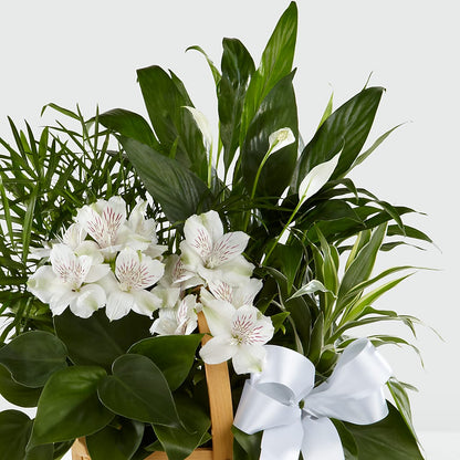 Peace & Serenity Dishgarden – SINK'S FLOWER SHOP & GREENHOUSE, Findlay OH