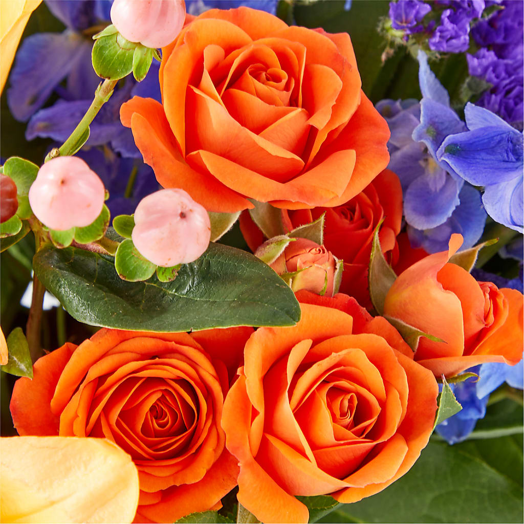 Radiant Citrus Box Bouquet – SINK'S FLOWER SHOP & GREENHOUSE, Findlay OH