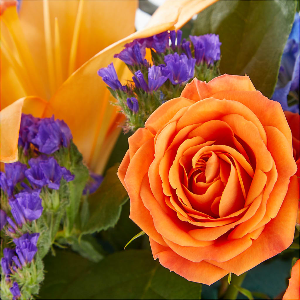 Radiant Citrus Box Bouquet – SINK'S FLOWER SHOP & GREENHOUSE, Findlay OH