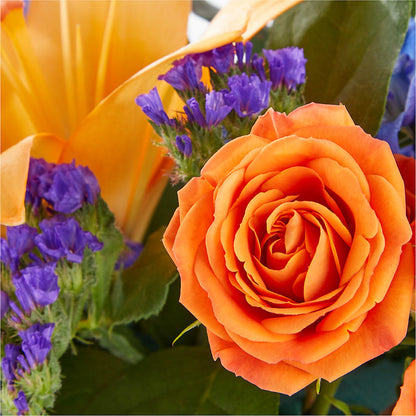 Radiant Citrus Box Bouquet – SINK'S FLOWER SHOP & GREENHOUSE, Findlay OH