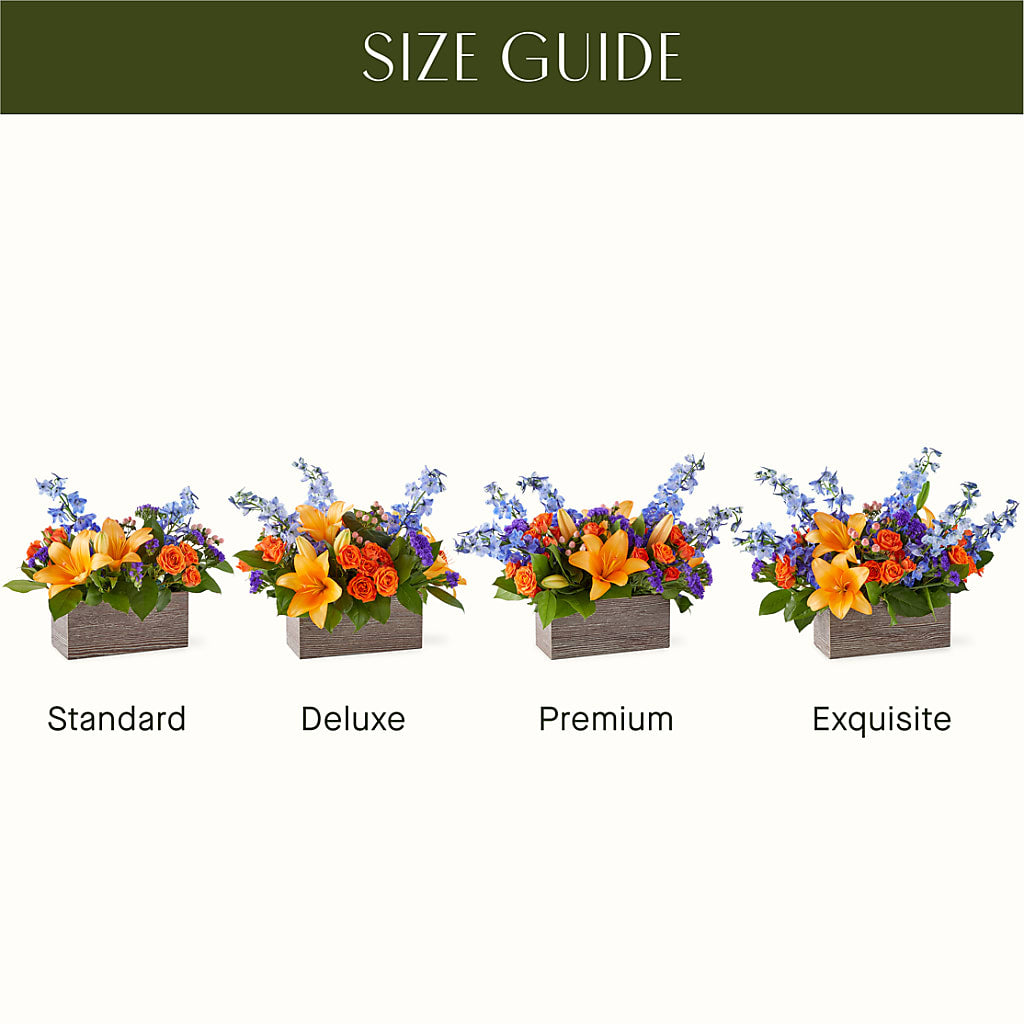 Radiant Citrus Box Bouquet – SINK'S FLOWER SHOP & GREENHOUSE, Findlay OH