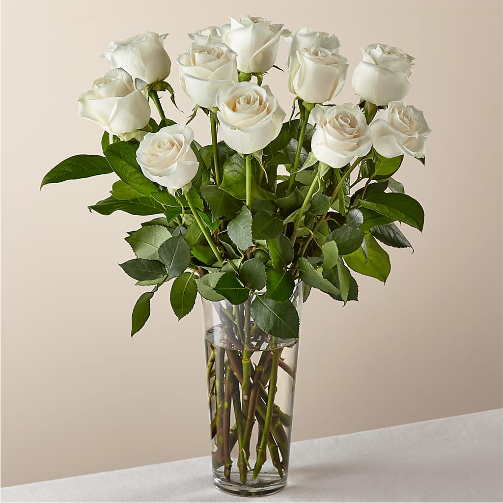 Long Stem White Rose Bouquet – SINK'S FLOWER SHOP & GREENHOUSE, Findlay OH