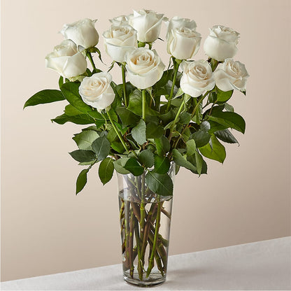 Long Stem White Rose Bouquet – SINK'S FLOWER SHOP & GREENHOUSE, Findlay OH