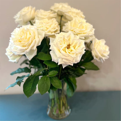 Long Stem Yellow Rose Bouquet – SINK'S FLOWER SHOP & GREENHOUSE, Findlay OH