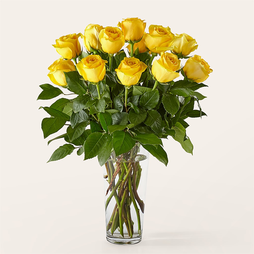 Long Stem Yellow Rose Bouquet – SINK'S FLOWER SHOP & GREENHOUSE, Findlay OH