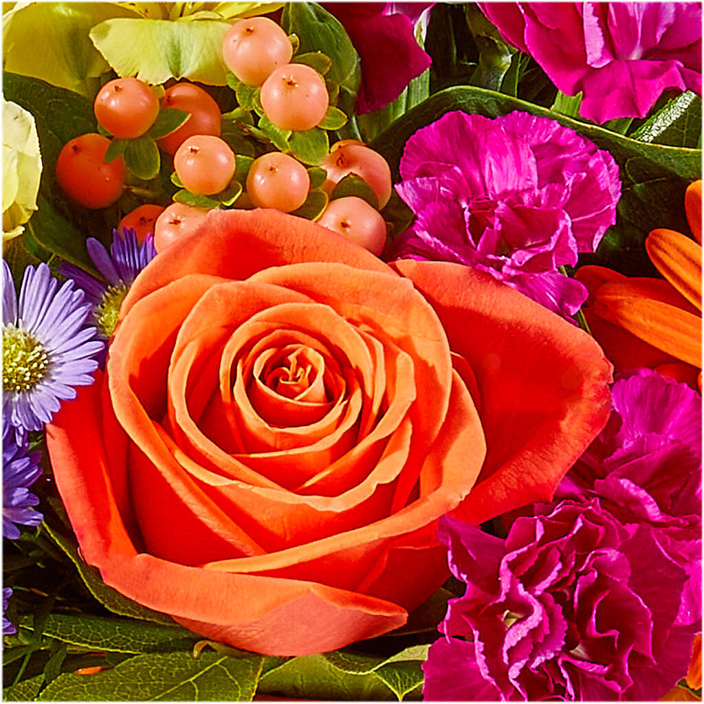 Tricks & Treats Pumpkin – SINK'S FLOWER SHOP & GREENHOUSE, Findlay OH