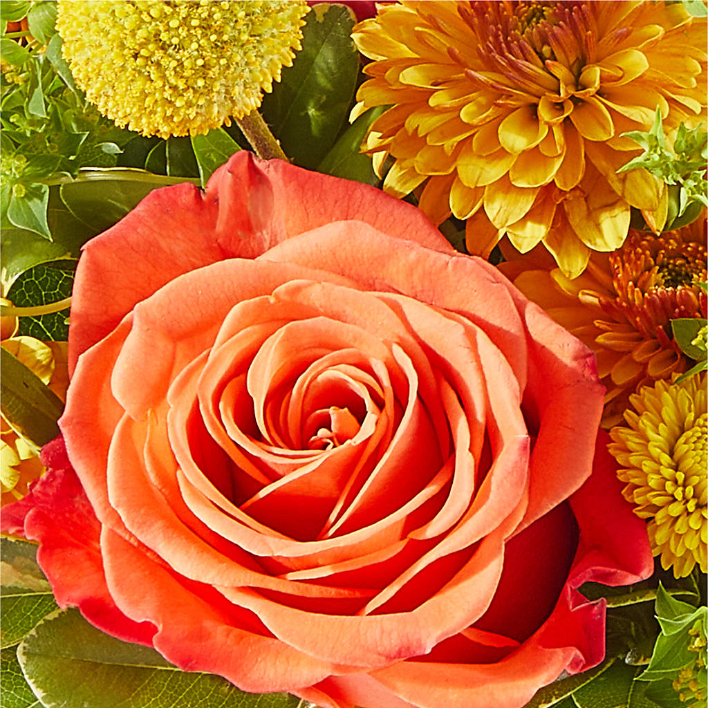 Gourdgeous Pumpkin – SINK'S FLOWER SHOP & GREENHOUSE, Findlay OH