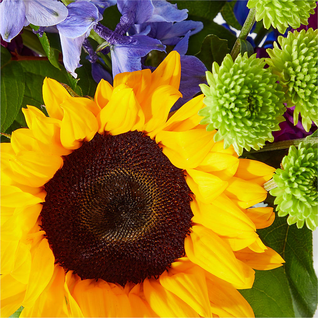 Catching Rays Bouquet – SINK'S FLOWER SHOP & GREENHOUSE, Findlay OH
