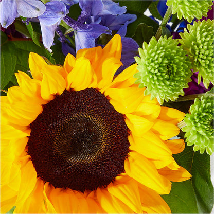 Catching Rays Bouquet – SINK'S FLOWER SHOP & GREENHOUSE, Findlay OH