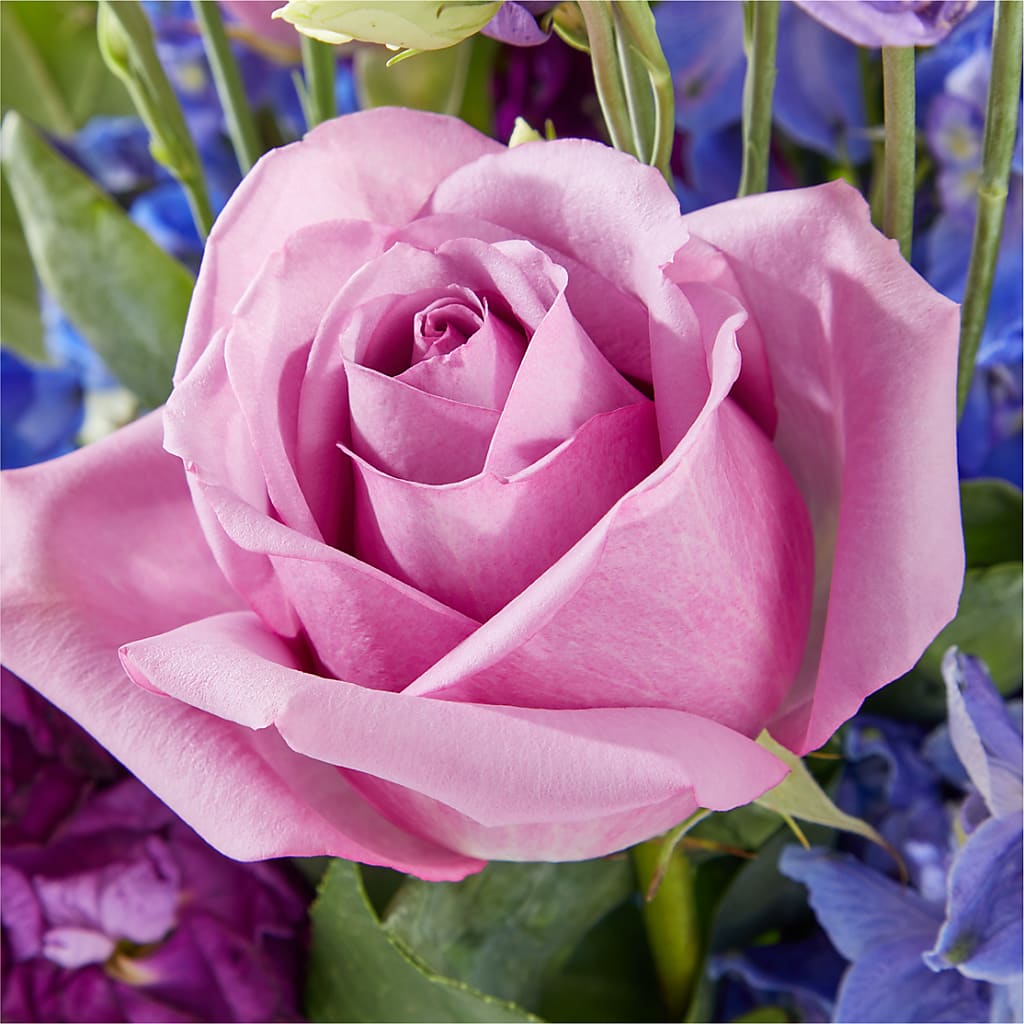 Twilight Glow Bouquet – SINK'S FLOWER SHOP & GREENHOUSE, Findlay OH