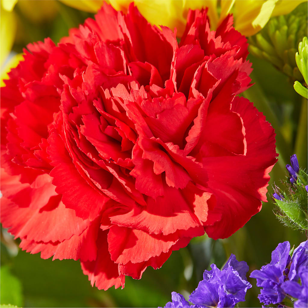 Brighter Days Bouquet – SINK'S FLOWER SHOP & GREENHOUSE, Findlay OH