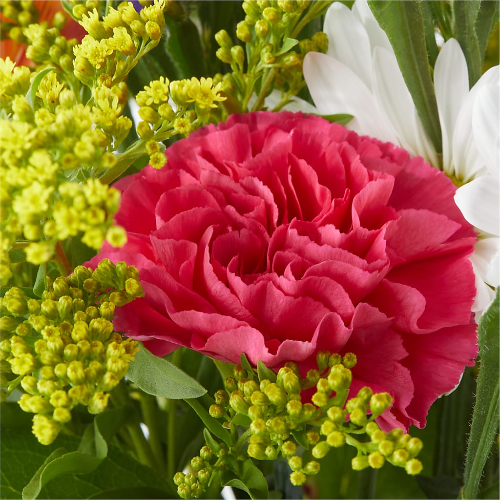 Oopsie Daisy Bouquet – SINK'S FLOWER SHOP & GREENHOUSE, Findlay OH