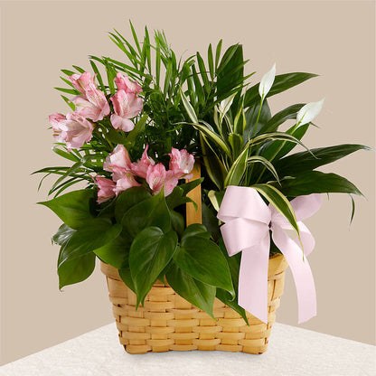Living Spirit Dishgarden – SINK'S FLOWER SHOP & GREENHOUSE, Findlay OH