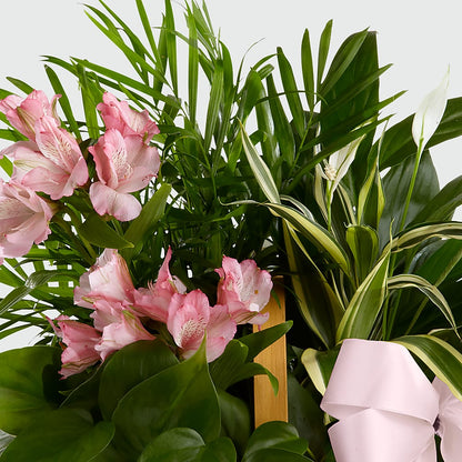 Living Spirit Dishgarden – SINK'S FLOWER SHOP & GREENHOUSE, Findlay OH