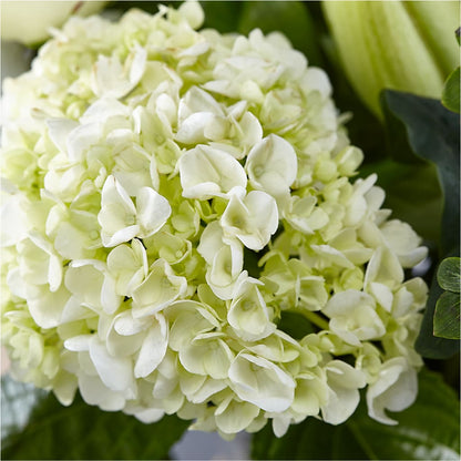 Classic Ivory – A Florist Original – SINK'S FLOWER SHOP & GREENHOUSE, Findlay OH