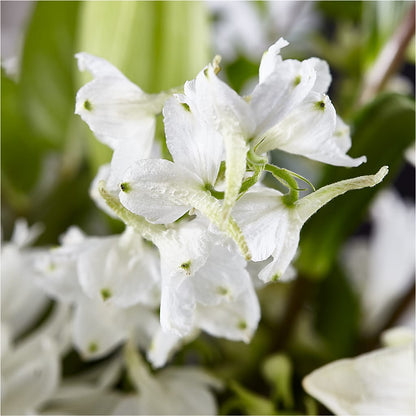 Classic Ivory – A Florist Original – SINK'S FLOWER SHOP & GREENHOUSE, Findlay OH