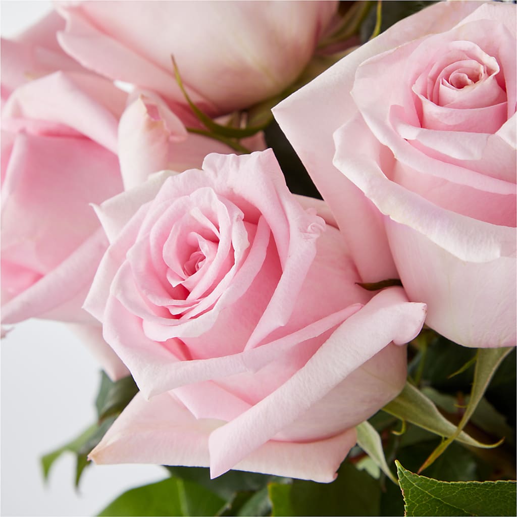 Picture Perfect Pink Rose Bouquet – SINK'S FLOWER SHOP & GREENHOUSE, Findlay OH