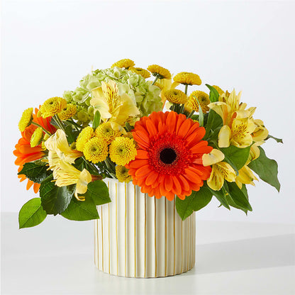 Autumn Sunshine Bouquet with Ivory Vase – SINK'S FLOWER SHOP & GREENHOUSE, Findlay OH