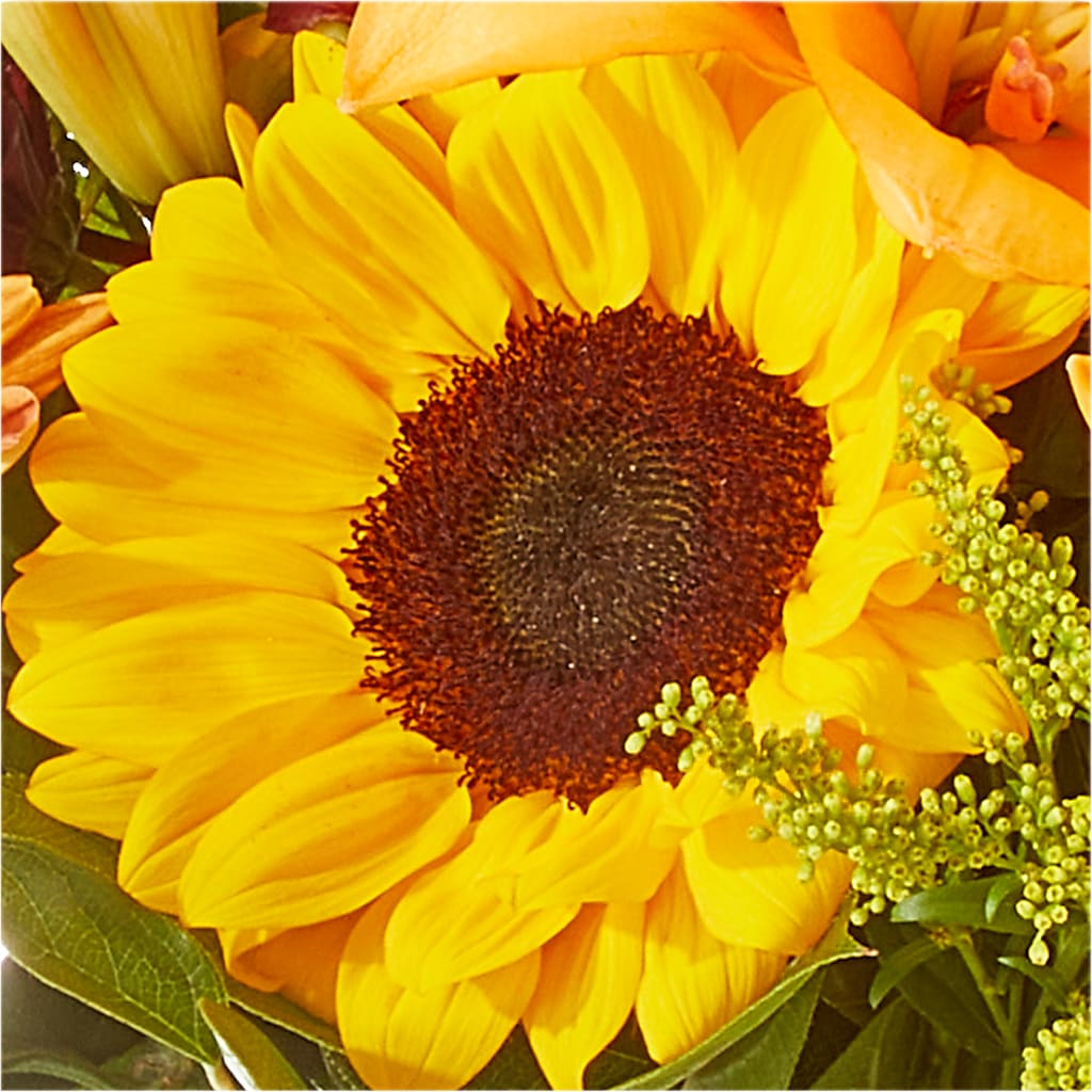 Seasons Change Bouquet – SINK'S FLOWER SHOP & GREENHOUSE, Findlay OH