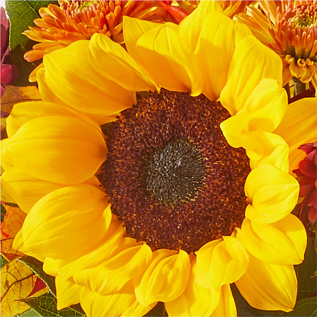Sunny Side Bouquet – SINK'S FLOWER SHOP & GREENHOUSE, Findlay OH