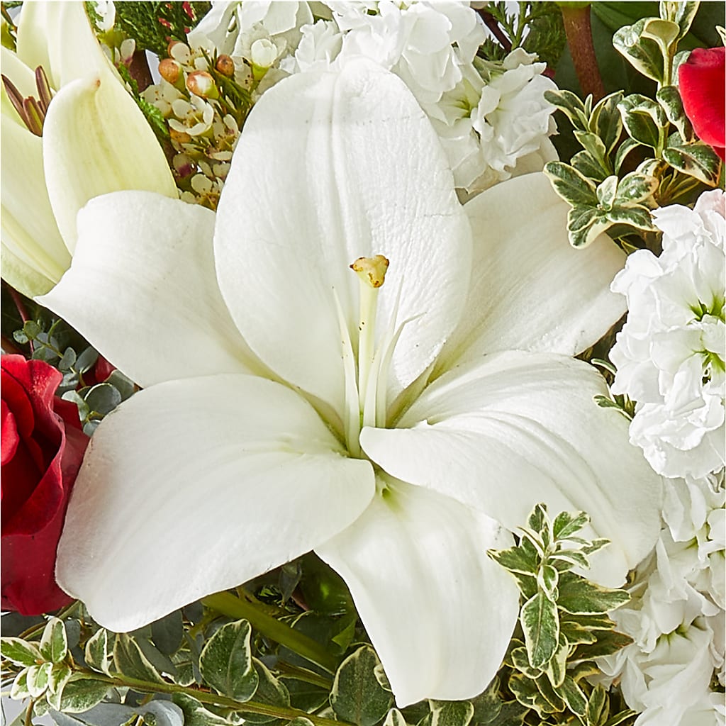 Twinkle Lights Bouquet – SINK'S FLOWER SHOP & GREENHOUSE, Findlay OH