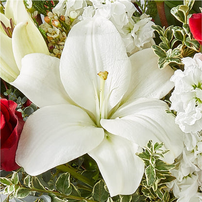 Twinkle Lights Bouquet – SINK'S FLOWER SHOP & GREENHOUSE, Findlay OH