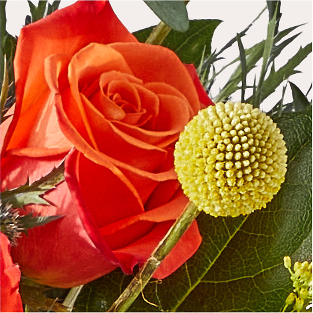 Disco Bouquet – SINK'S FLOWER SHOP & GREENHOUSE, Findlay OH