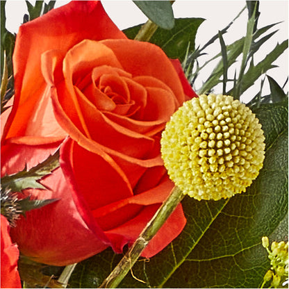 Disco Bouquet – SINK'S FLOWER SHOP & GREENHOUSE, Findlay OH