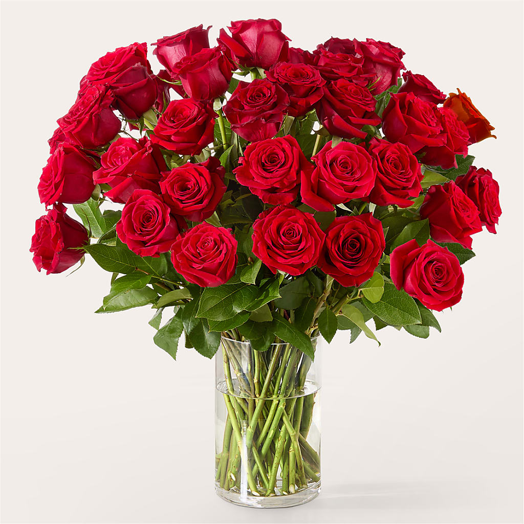 The One Red Rose Bouquet – SINK'S FLOWER SHOP & GREENHOUSE, Findlay OH